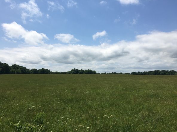 4897 & 4878 Norman Drive, Hartville, MO 65667